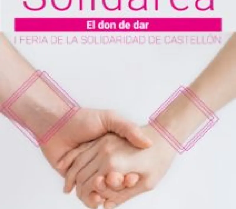 cartel solidarea 212x300