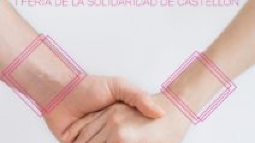 cartel solidarea 212x300