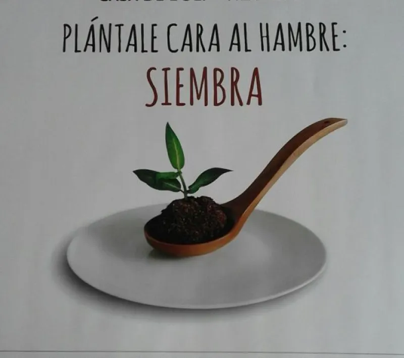 cartel web 0