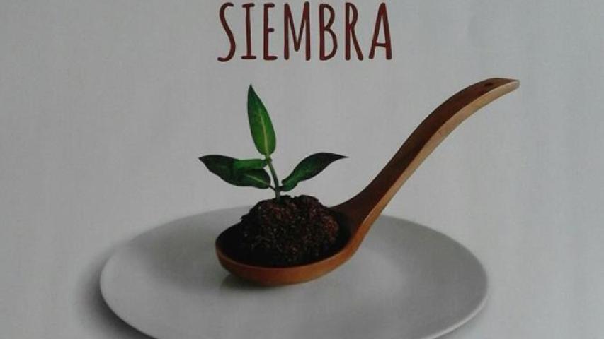 cartel web 0