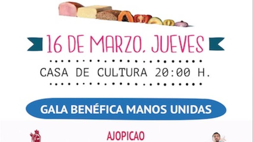 cartel gala benefica 1