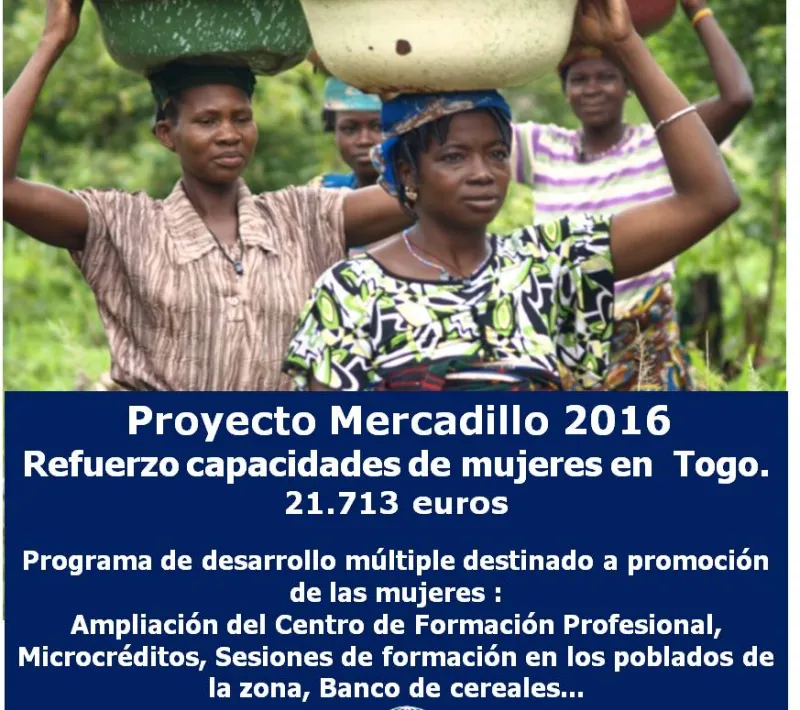 cartel proyecto