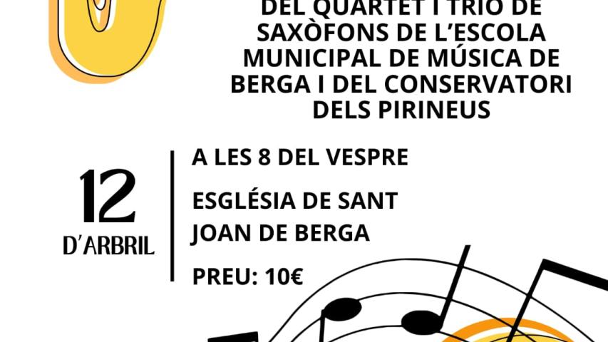 cartell concert solidari berga