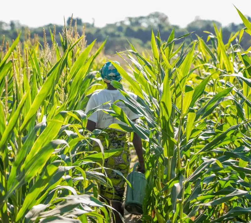 casamance plantations senegal visite oussouye