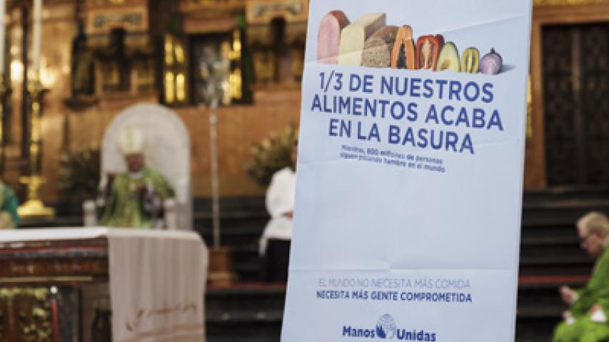catedral iii 2017