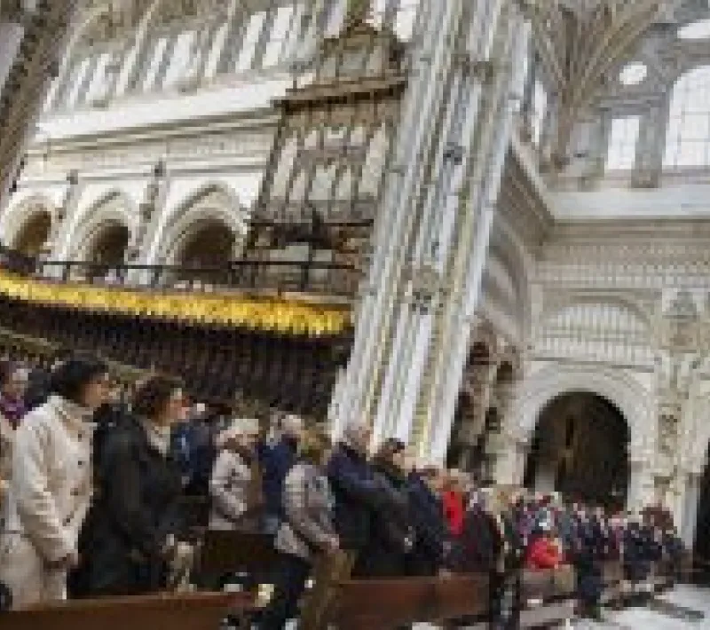 catedral iv 2017
