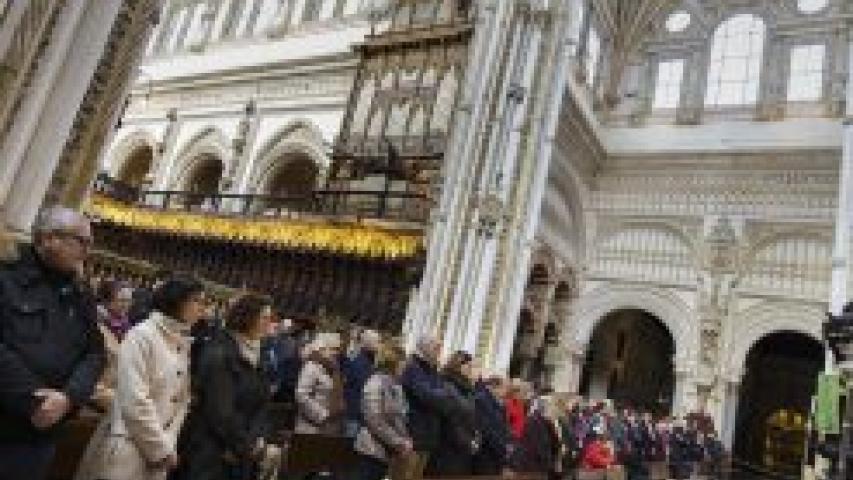 catedral iv 2017