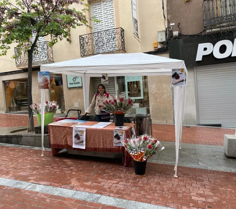 Sant Jordi 2022 comarcal Terrassa