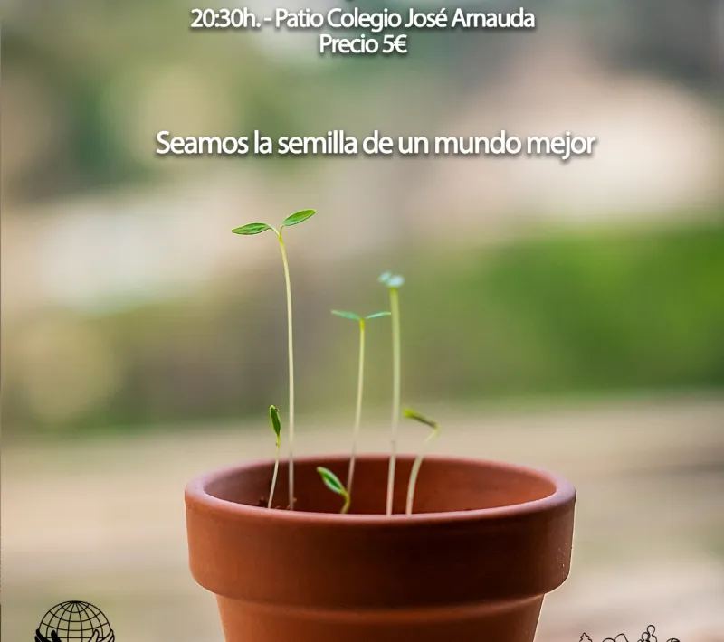 Cartel de la Cena del Hambre de Manos Unidas en Alcoi.