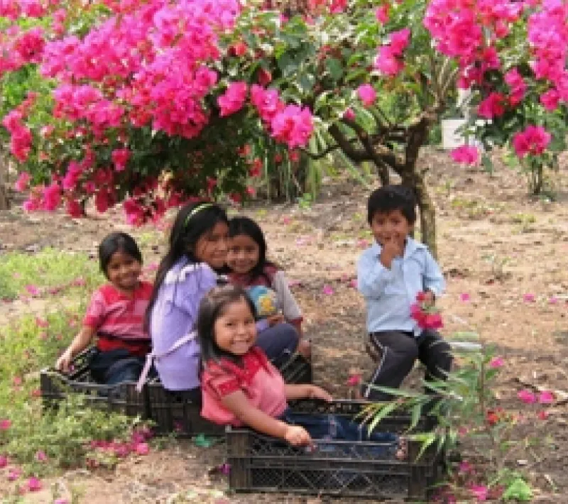 Niños bajo un árbol en Chiapas