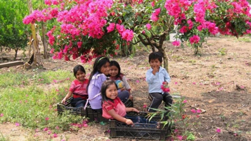 Niños bajo un árbol en Chiapas