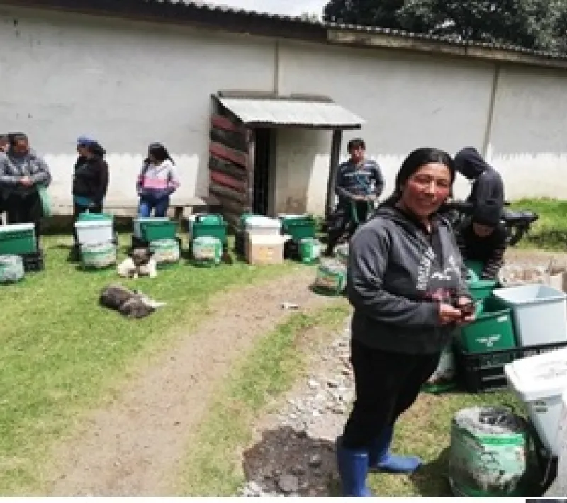 entrega de insumos