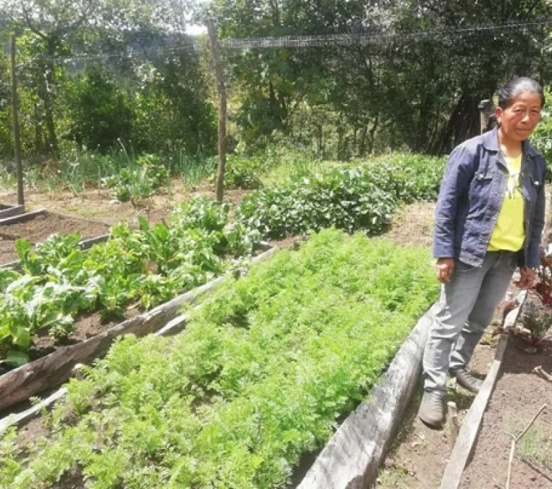 Huerta de doña Gloria