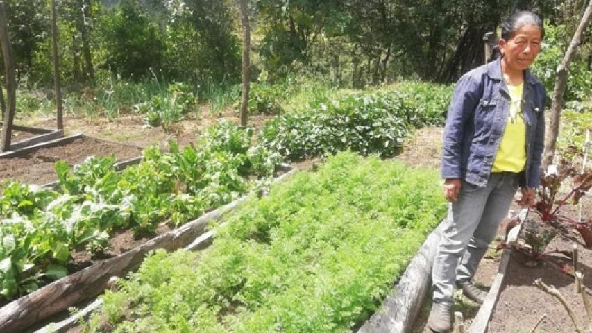 Huerta de doña Gloria