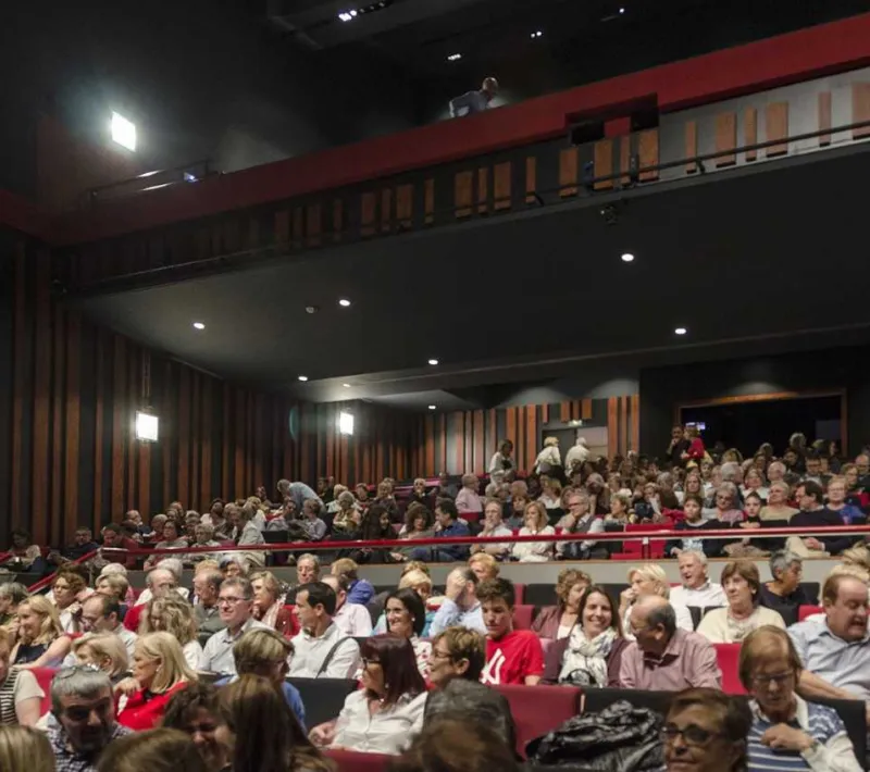El público entusiasmado participó en el concierto
