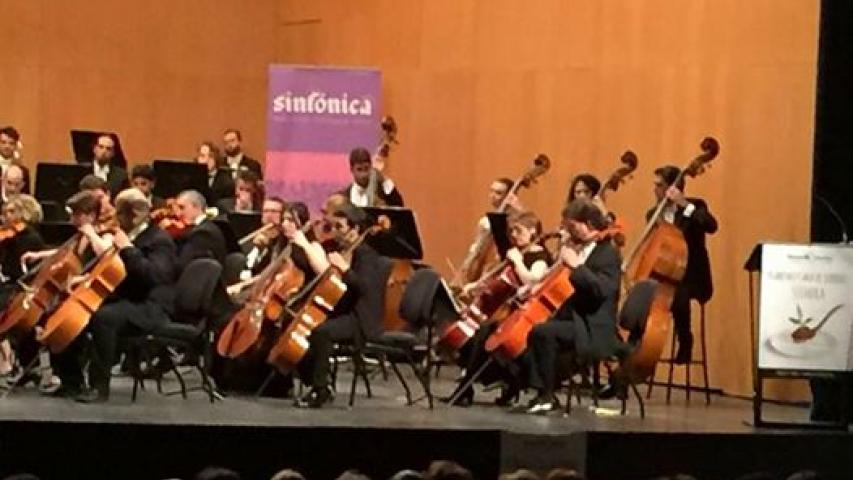 concierto 0