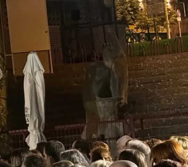 concierto 5