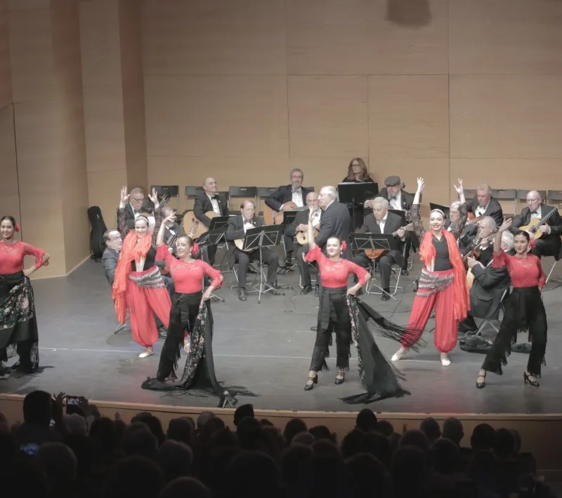 concierto boadilla del monte 1