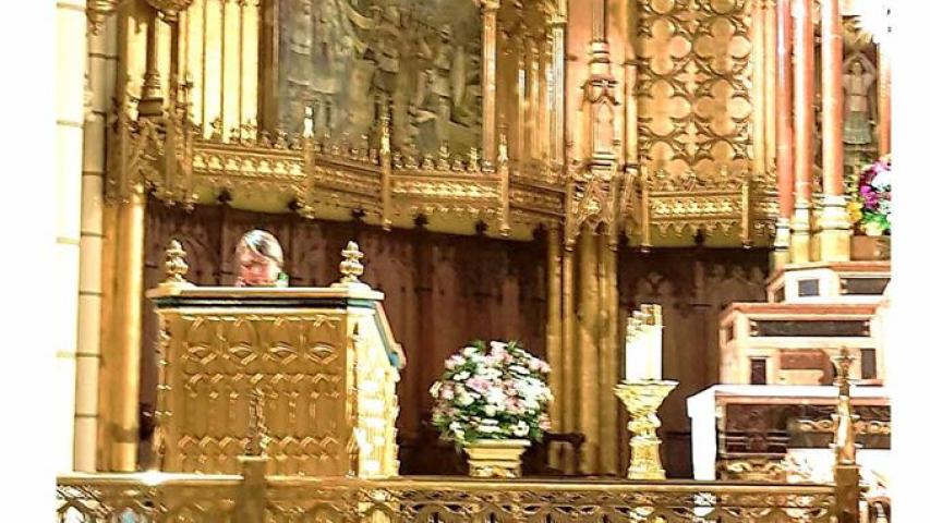 Concierto de órgano en la Iglesia de Santa Cruz a beneficio de MU