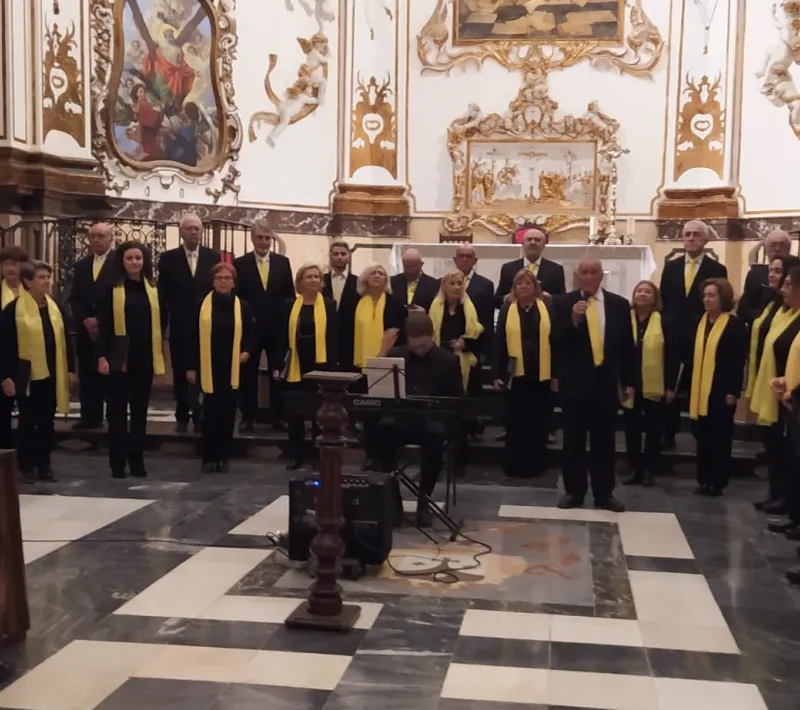 concierto manos unidas 18