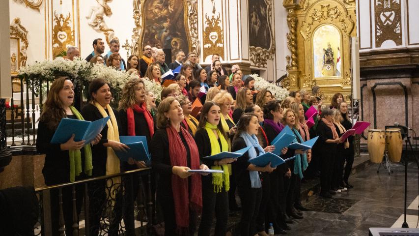 concierto mu 005