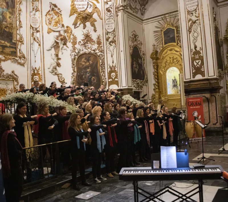 concierto mu 028