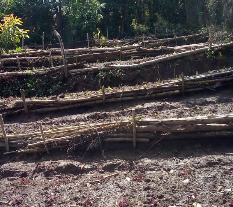 Agroecología en Guatemala para hacer frente a las consecuencias del coronavirus