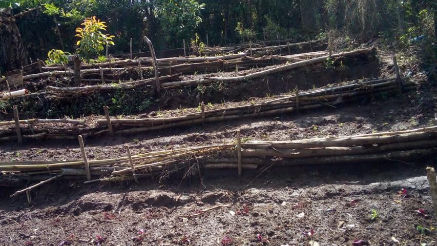 Agroecología en Guatemala para hacer frente a las consecuencias del coronavirus