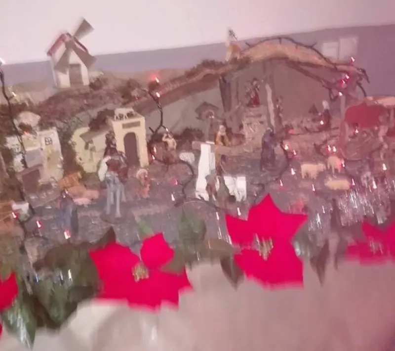 corralon2