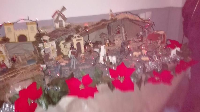 corralon2