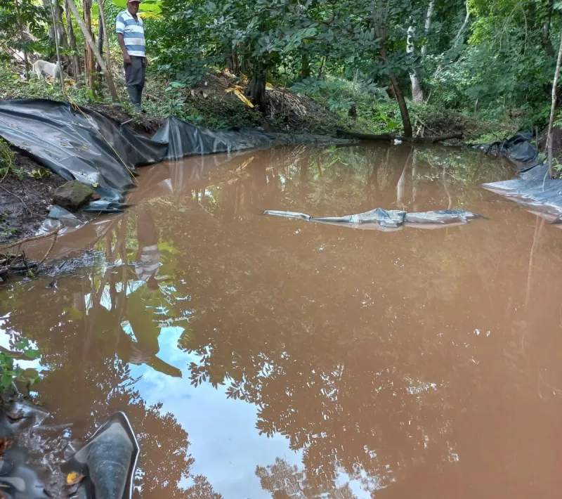 cosechadora de agua con plastico