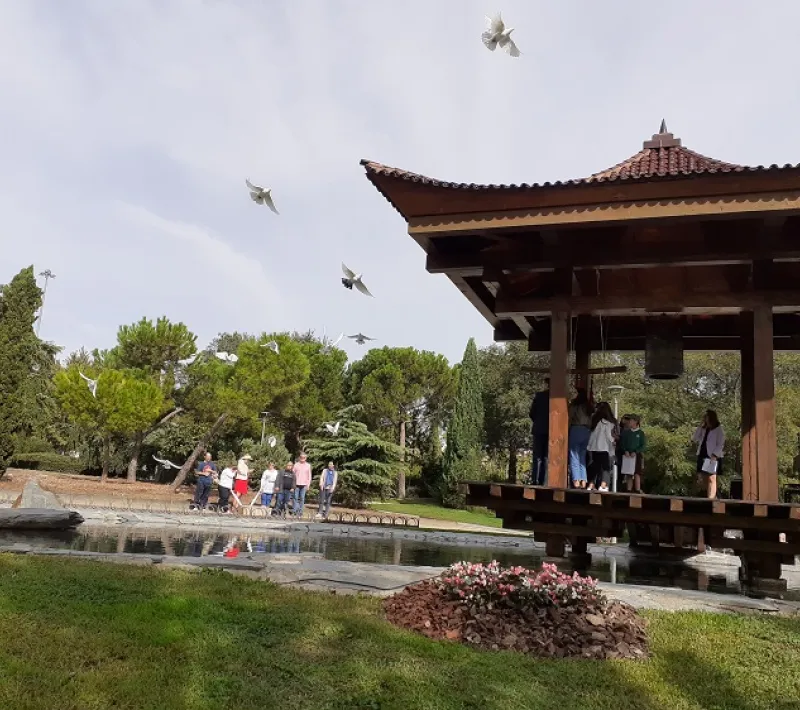 Dia de la Paz 2019 en Alcobendas