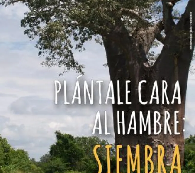 Cartel del Día Mundial del Medio Ambiente