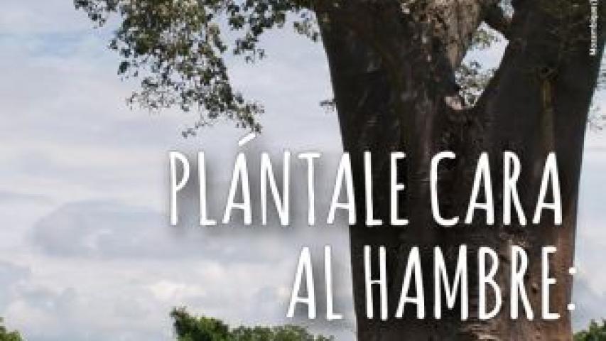 Cartel del Día Mundial del Medio Ambiente