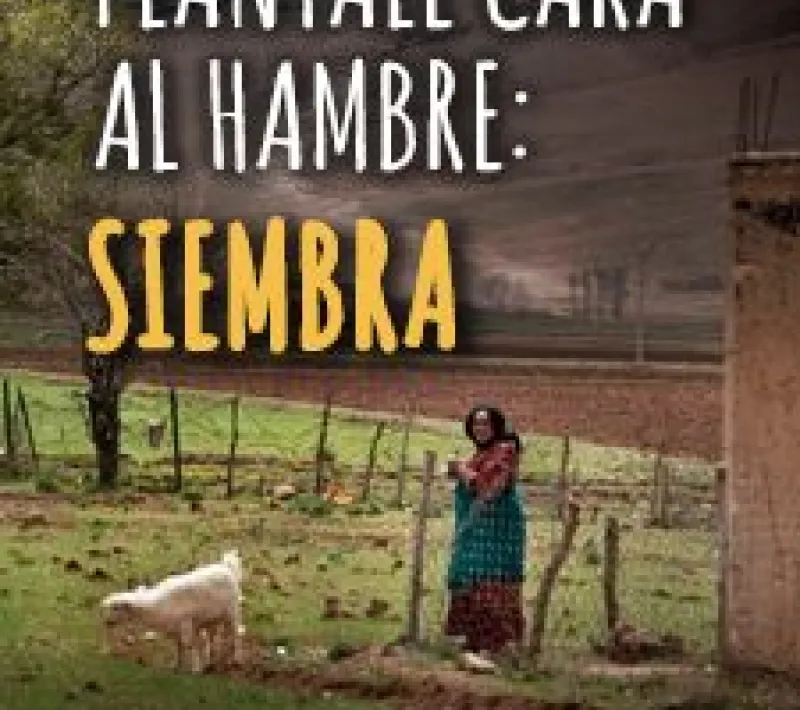 Cartel del Día Internacional de la Mujer
