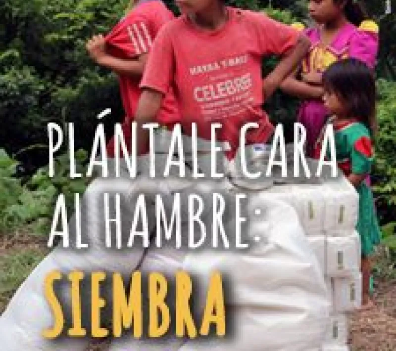 Cartel Día Mundial de la Salud