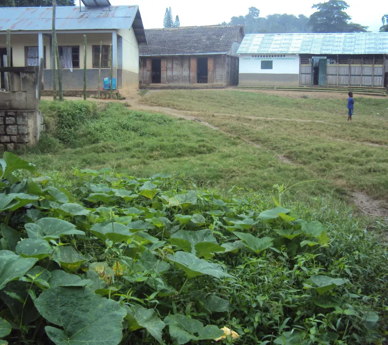dsc01970