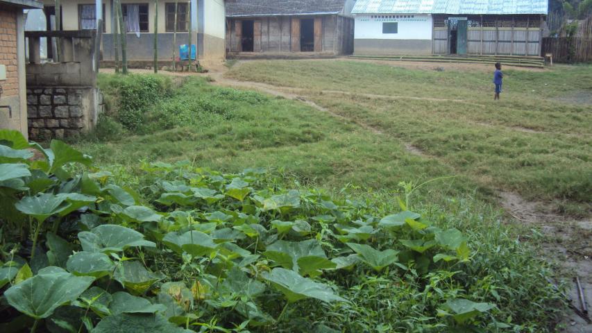 dsc01970