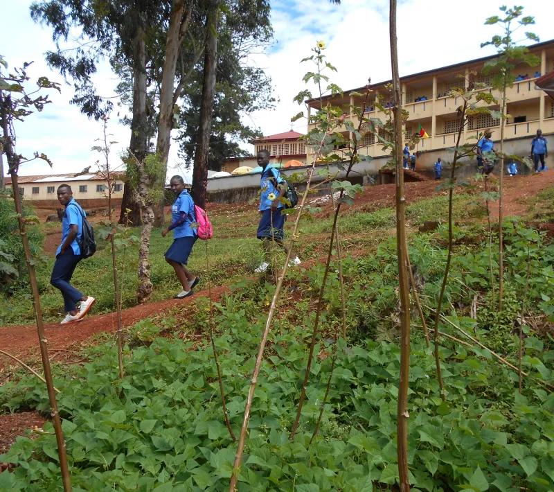 Mejora de la educación bilingüe en zona musulmana en Centro de San Abraham. 1ª Fase. Camerún.