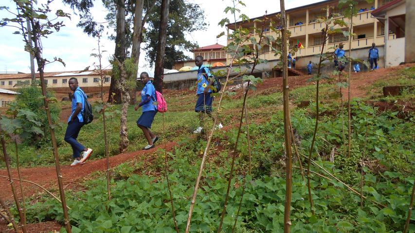 Mejora de la educación bilingüe en zona musulmana en Centro de San Abraham. 1ª Fase. Camerún.