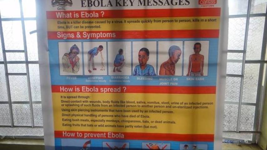 Carteles de información del virus del ébola