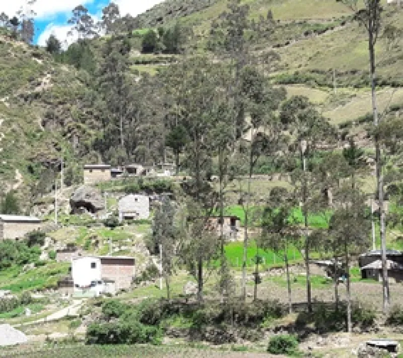 ecu 71562 1