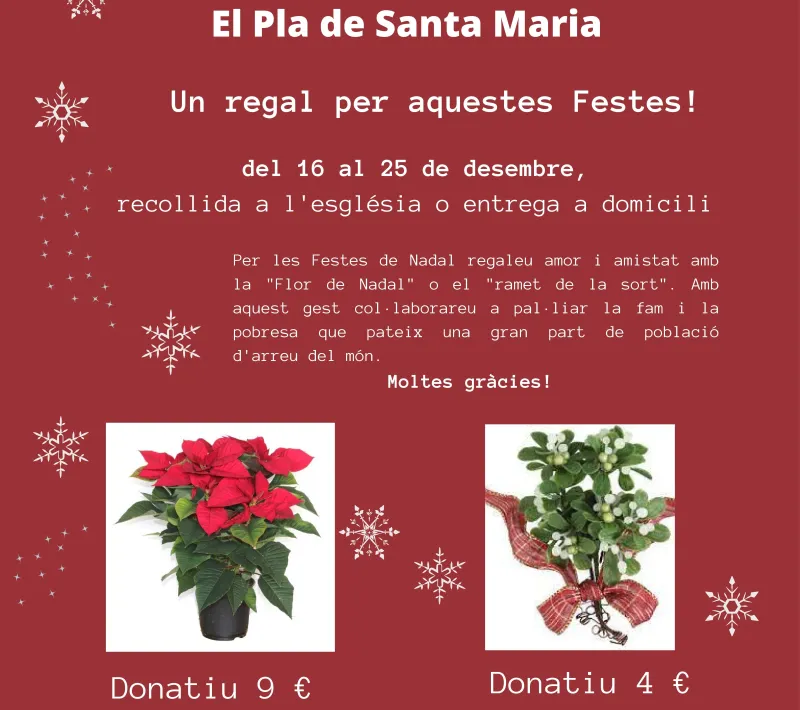 Campaña "La Flor de Nadal"