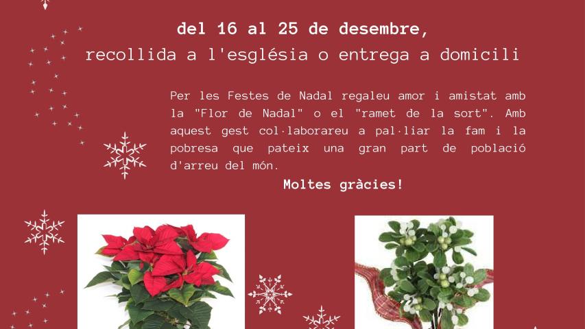Campaña "La Flor de Nadal"