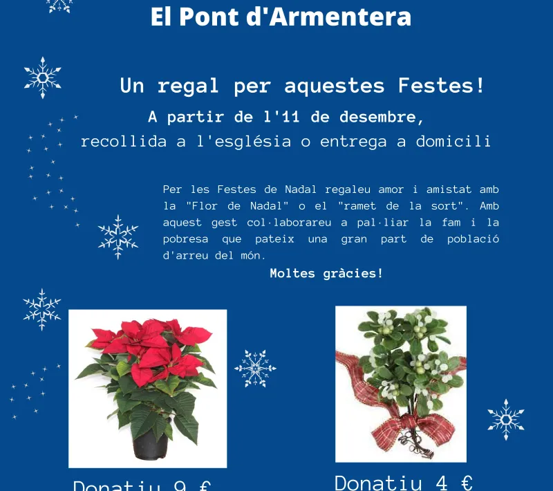 Campaña "La Flor de Nadal"