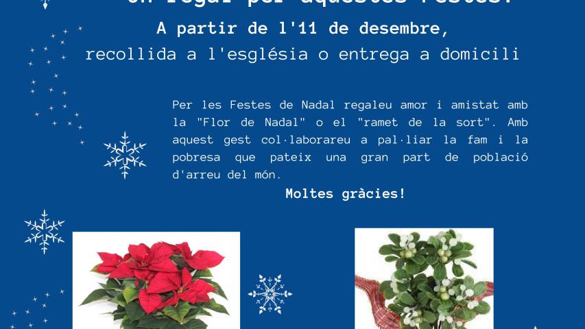 Campaña "La Flor de Nadal"