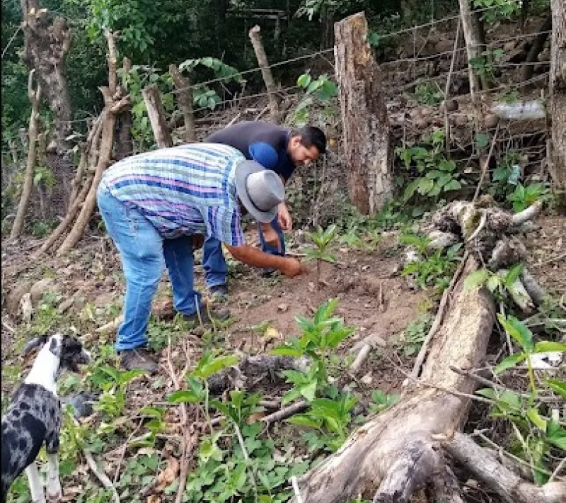 el salvador