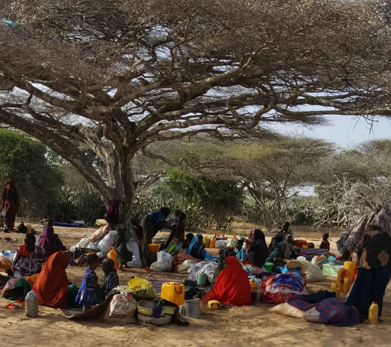 Sobrevivir en África