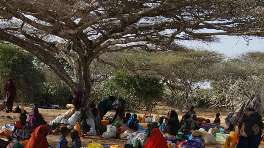 Sobrevivir en África