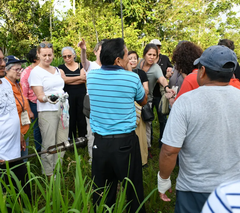 Manos Unidas ONG - Estrategia para la Panamazonía